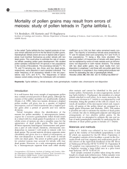 Mortality of pollen grains may result from errors of meiosis