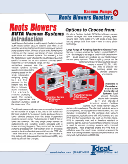 Roots Blowers And Rotary Piston Pumps