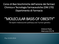 Presentazione standard di PowerPoint