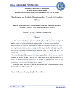 Morphological and Histological Description of the Tongue in
