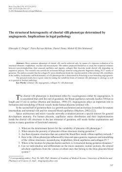 The structural heterogeneity of chorial villi phenotype determined by