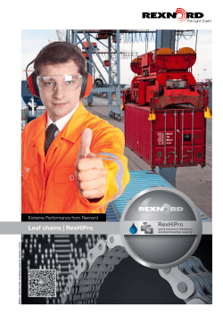 RexHiPro leaf chains