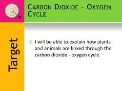 Carbon Dioxide- Oxygen Cycle