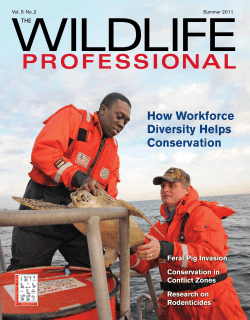 How Workforce Diversity Helps Conservation
