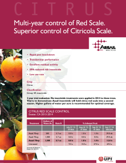 Assail Sell Sheet (Citrus)
