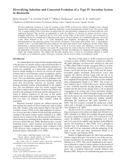 Diversifying Selection and Concerted Evolution