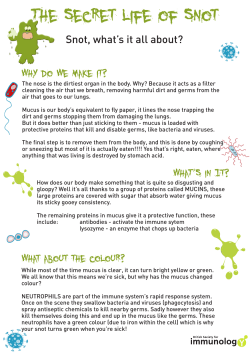 The secret life of snot