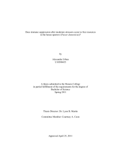 Does immune suppression after moderate stressors occur to free