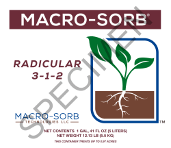 radicular 3-1-2 - Macro