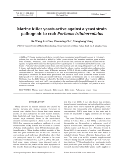 Marine killer yeasts active against a yeast strain pathogenic to crab