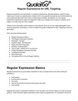 Regular Expressions for URL Targeting