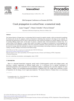 Crack Propagation in Cortical Bone: A Numerical Study