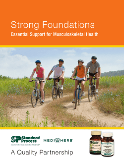 Essential Support for Musculoskeletal Health