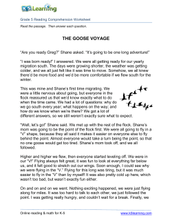 The Goose Voyage