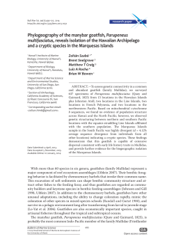 Phylogeography of the manybar goatfish, <i