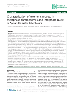 Characterization of telomeric repeats in metaphase chromosomes