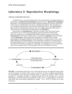 Laboratory 2: Reproductive Morphology