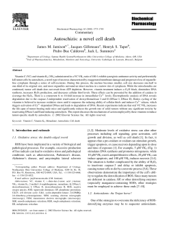 Autoschizis: a novel cell death