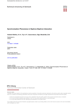 Synchronization Phenomena in Nephron-Nephron