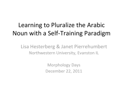 Computational modeling of the Arabic noun plural and
