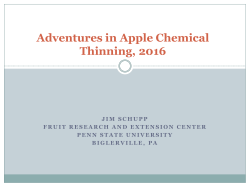 Adventures in Apple Chemical Thinning
