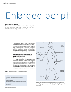DETECTING ENLARGED PERIPHERAL NERVES BY PALPATION