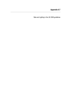 Bats and Lighting in the UK 2008 guidelines