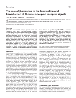 (beta)-arrestins in GPCR signaling