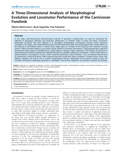 A Three-Dimensional Analysis of Morphological Evolution and