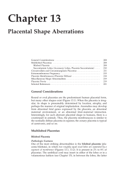 Chapter 13 Placental Shape Aberrations