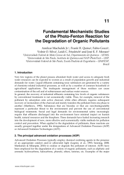 Fundamental Mechanistic Studies of the Photo-Fenton