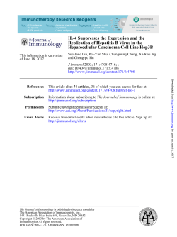 Hepatocellular Carcinoma Cell Line Hep3B Replication of Hepatitis