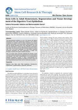 Stem Cells in Adult Homeostasis, Regeneration and Tissue