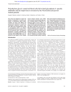 Polyethylene glycol&ndash;coated red blood cells fail to