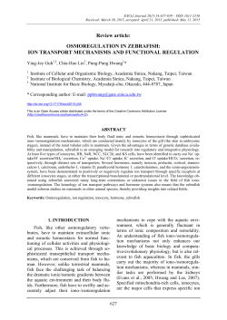 Osmoregulation in zebrafish: ion transport mechanisms and