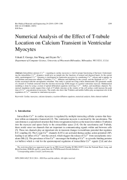 Numerical Analysis of the Effect of T