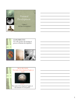 Prenatal Development