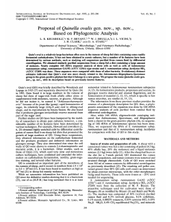 Proposal of Quirzella ovalis gen. nov., sp. nov., Based on