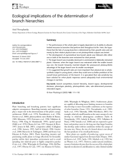 Ecological implications of the determination of branch hierarchies