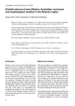 Eristalis obscura (Loew) (Diptera, Syrphidae): synonyms and