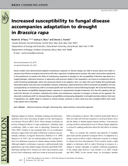 Increased susceptibility to fungal disease