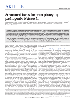 Structural basis for iron piracy by pathogenic Neisseria - Ser-CAT