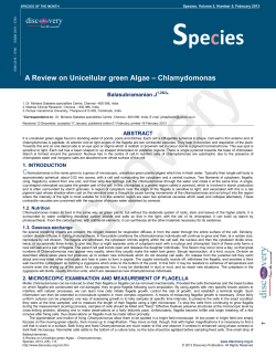 Species - Discovery Publication