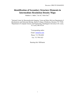 Identification of Secondary Structure Elements