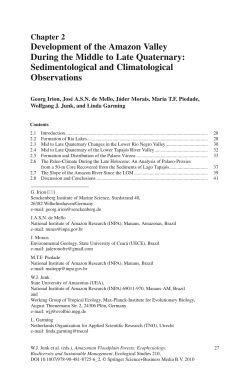 Development of the Amazon Valley During the Middle to Late