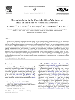 Electroejaculation in the Chinchilla