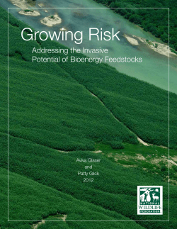 Growing Risk - National Wildlife Federation