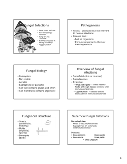 Fungal Infections Fungal biology Fungal cell structure Pathogenesis