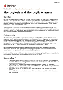 Macrocytosis and Macrocytic Anaemia