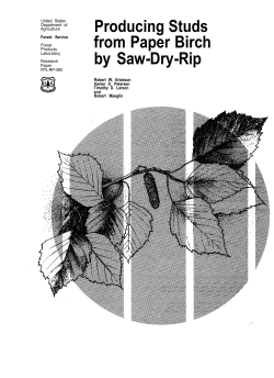 Producing Studs from Paper Birch by Saw-Dry-Rip
